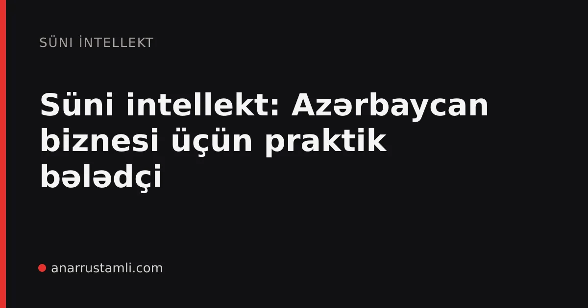 Süni intellekt: Azərbaycan biznesi üçün praktik bələdçi - Anar Rustamli