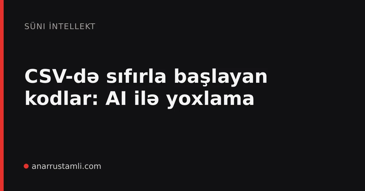 CSV-də sıfırla başlayan kodlar: AI ilə yoxlama - Anar Rustamli