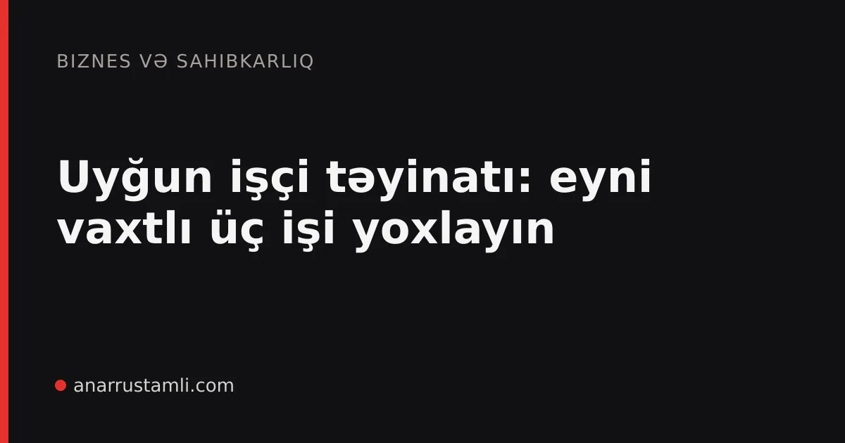 Uyğun işçi təyinatı: eyni vaxtlı üç işi yoxlayın - Anar Rustamli