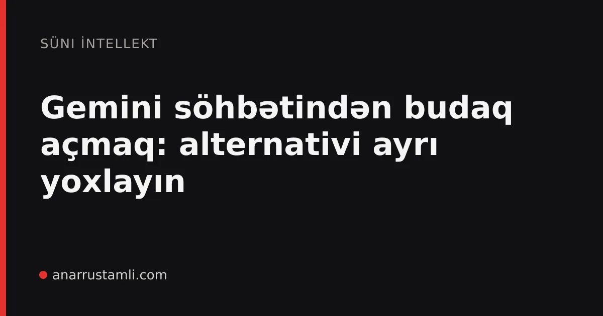 Gemini söhbətindən budaq açmaq: alternativi ayrı yoxlayın - Anar Rustamli