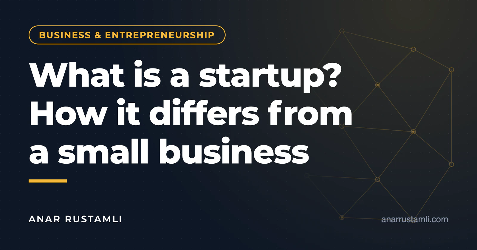 What is a startup? Difference from ordinary business — Anar Rustamli
