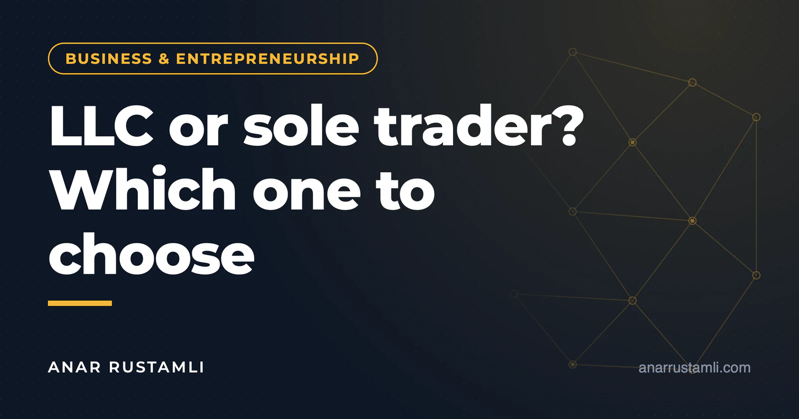 LLC or individual entrepreneur? Which one should you choose? — Anar Rustamli