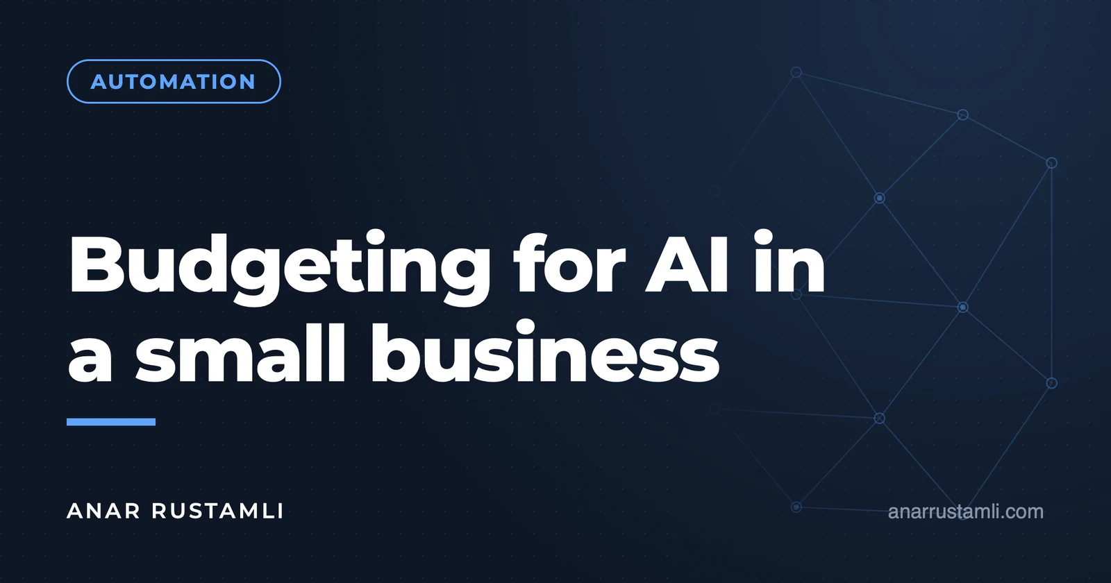 AI implementation budget in small business — Anar Rustamli